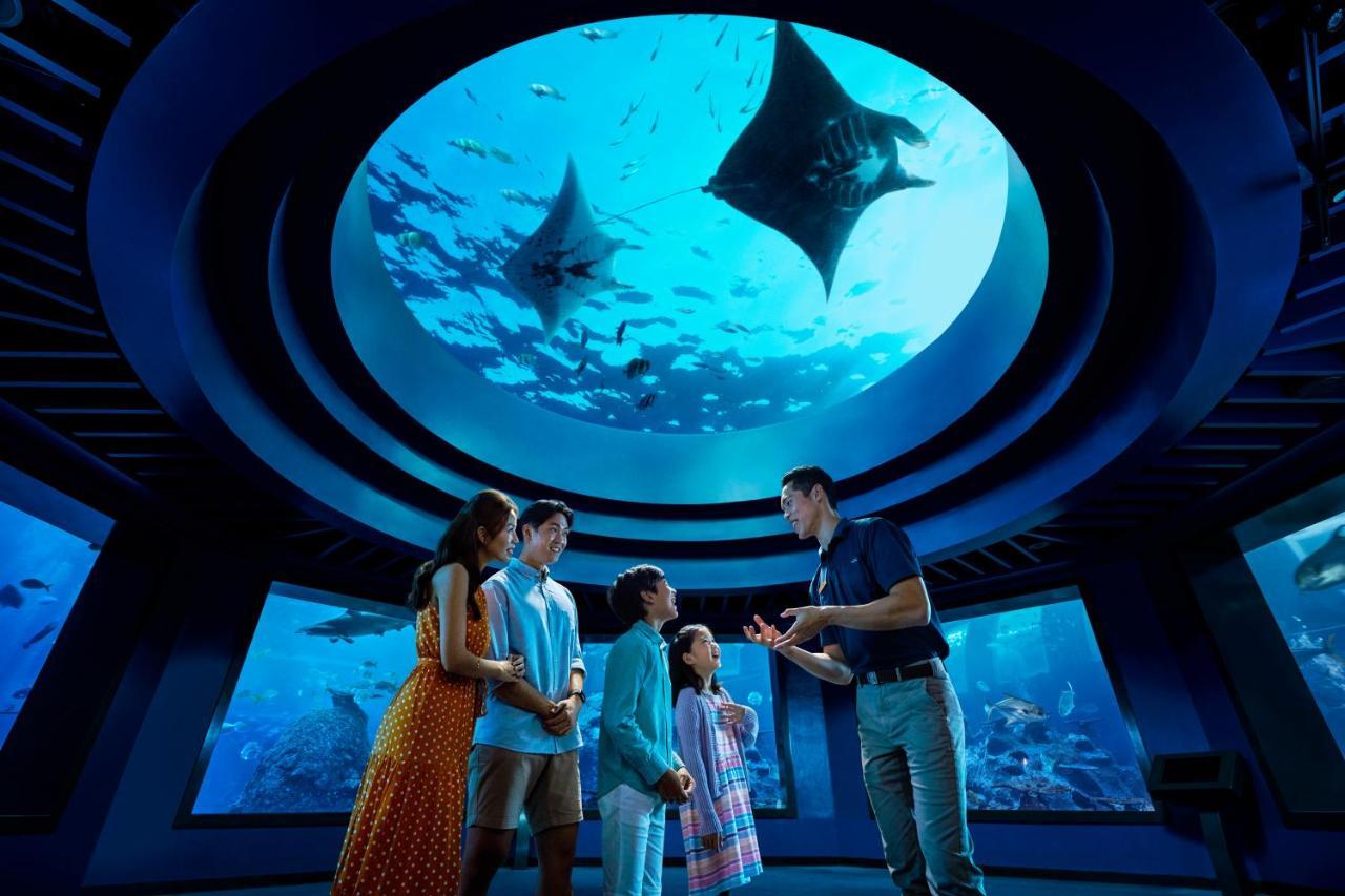 סינגפור Resorts World Sentosa - Hotel מראה חיצוני תמונה The Lost Chambers Aquarium