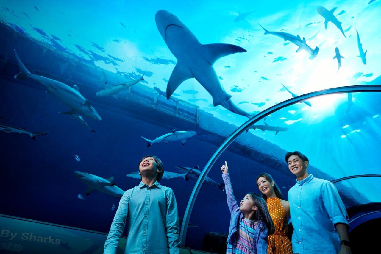 סינגפור Resorts World Sentosa - Hotel מראה חיצוני תמונה The Lost Chambers Aquarium