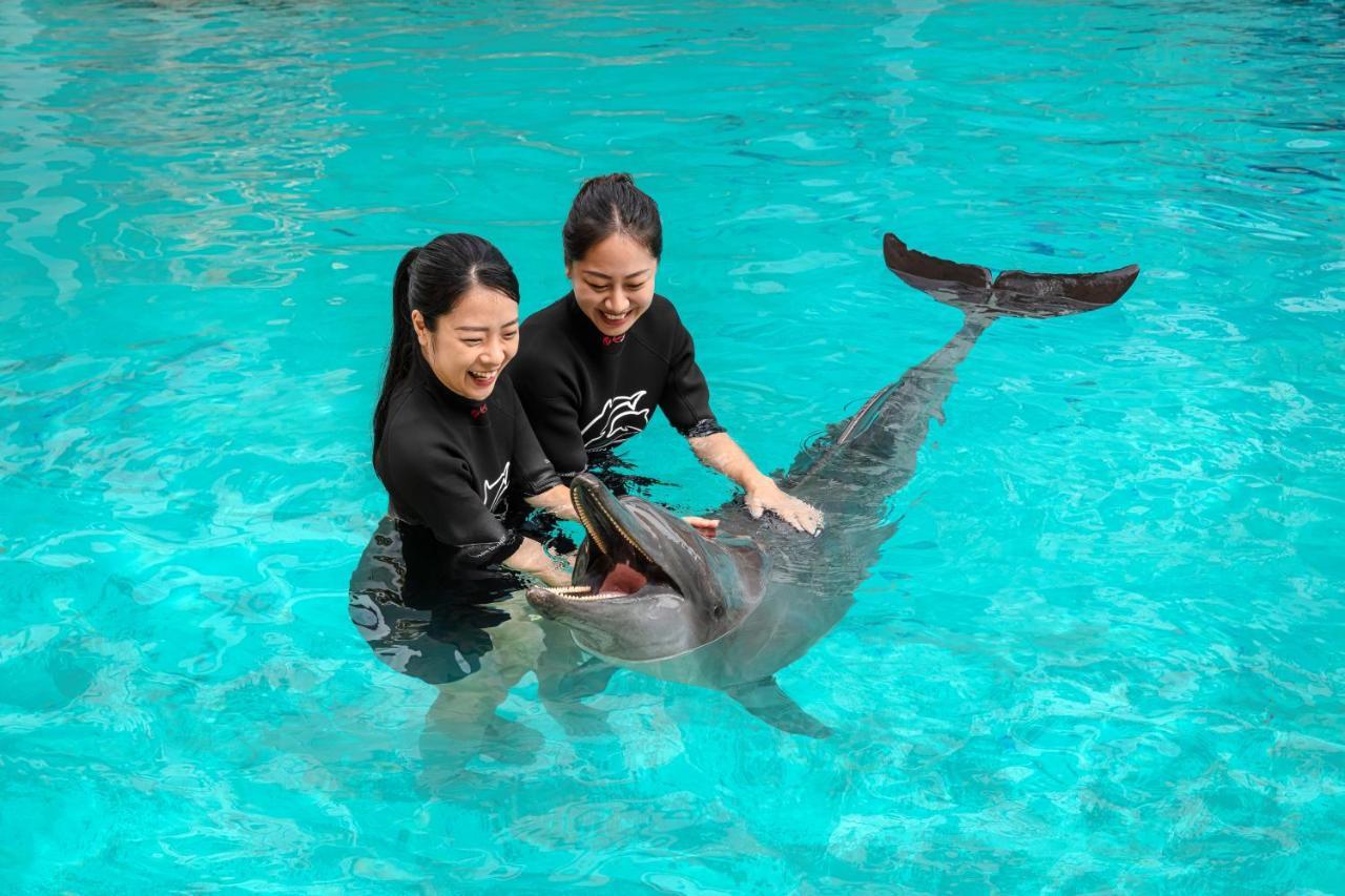 סינגפור Resorts World Sentosa - Hotel מראה חיצוני תמונה Dolphin show at SeaWorld