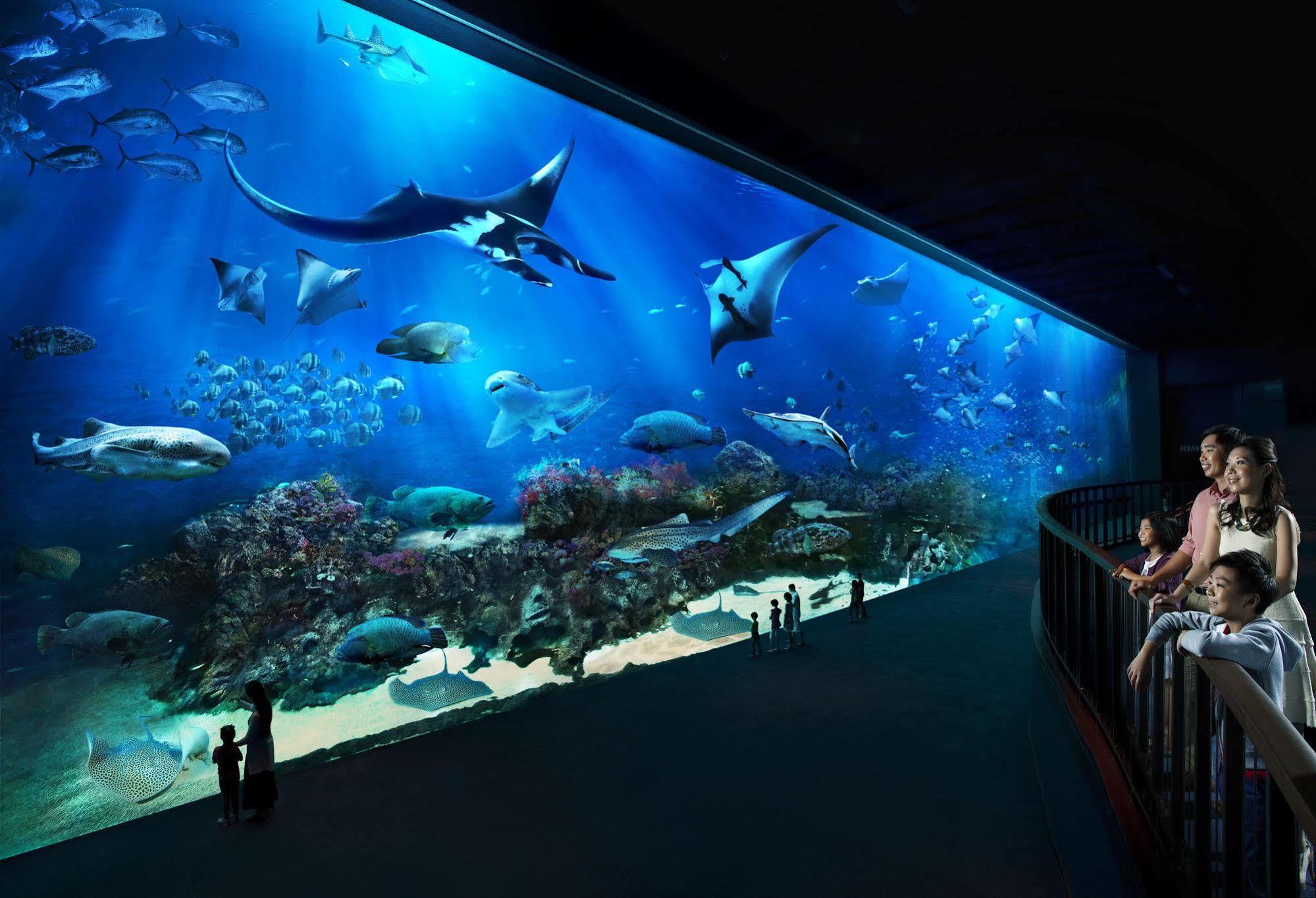סינגפור Resorts World Sentosa - Hotel מראה חיצוני תמונה The open ocean exhibit